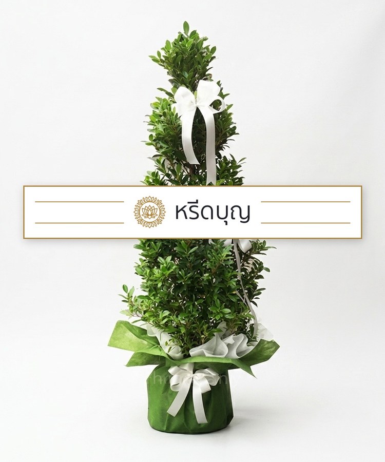 พวงหรีดต้นไม้กระถาง โทนสีเขียวพร้อมโบสีขาว